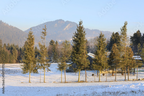 Obraz na płótnie Too little snow cover in the mountains. View of trees, melting snow and a panorama of the wild area. w salonie