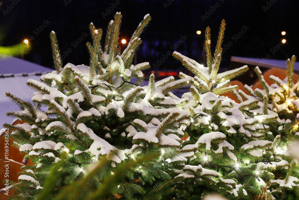 Led lights on christmas trees.