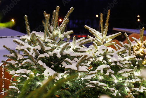 Obraz na płótnie Led lights on christmas trees. w salonie