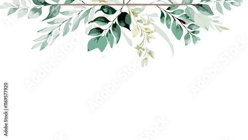 Watercolor had drawn  leaves, simple soft background design, blank wallpaper vector illustration.Seamless herbal composition for wedding or greeting card. Spring Border with leaves eucalyptus.