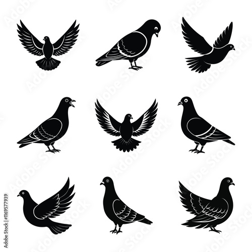 Bundle of pigeon silhouette vector illustration