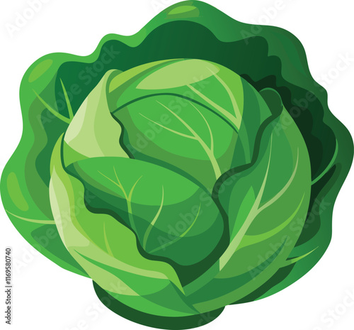 Cabbage in cartoon style on a white background. Vector illustration.