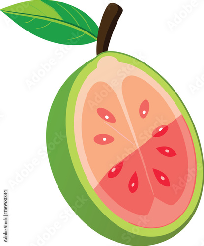 guava fruit vector with white background