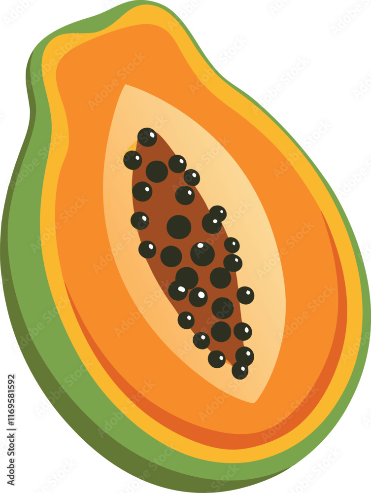 papaya white background. Vector illustration. papaya white background. Vector illustration.