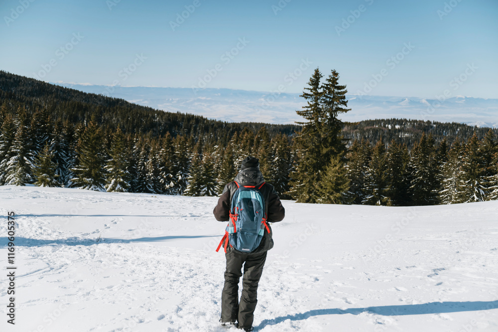 Senior man in the winter forest with snowy pines . Vitosha mountain, ,Bulgaria Senior man in the winter forest with snowy pines . Vitosha mountain, ,Bulgaria