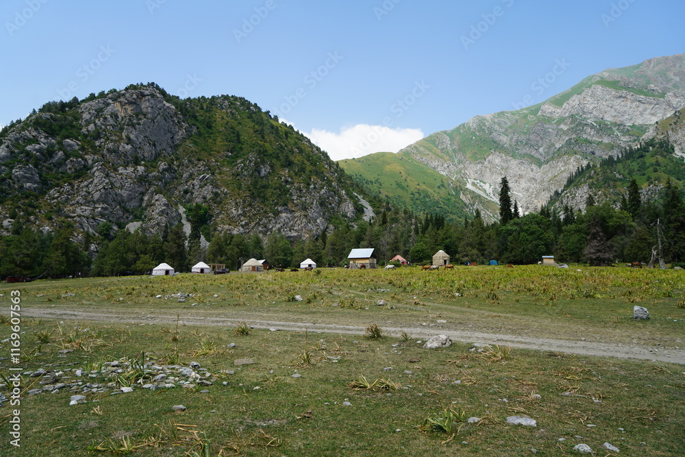 Naklejka premium landscape with cows