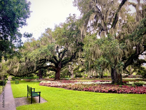 An Area for Contemplation at Brookgreen Gardens photo