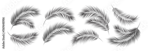 Elegant Palm Leaf Shadows Overlay Set on a White Background in Black and White. Beautiful palm leaf shadows cast on a plain white surface, creating a delicate texture. Vector Illustration