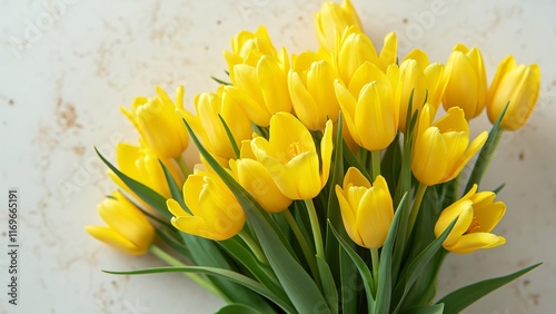 Vibrant Yellow Tulip Bouquet Spring Flowers