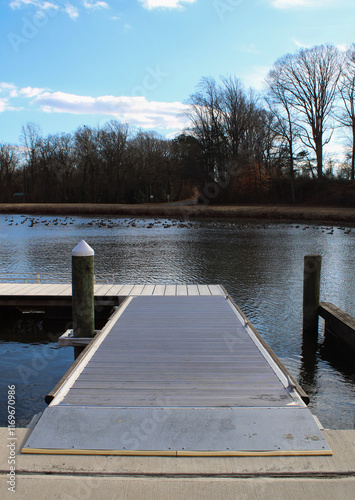 floating dock to pond with geese
