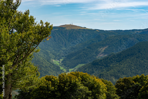View to the Feldberg, the highest elevation in the Black Forest