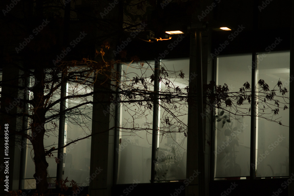 Obraz premium Office Building with Large Windows Viewed from Outside at Night. An office space with large, illuminated windows is captured from an exterior perspective during the evening or night.