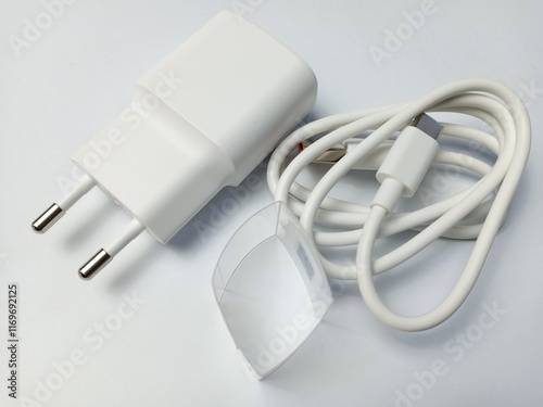 Charger. electric plug. 