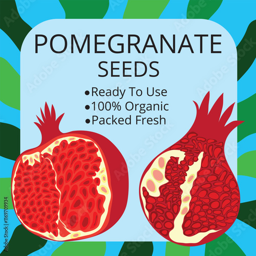 pomegranate seeds packaging hand drawn illustration. pomegranate seed packaging front cover, or packaging print illustration or clipart.