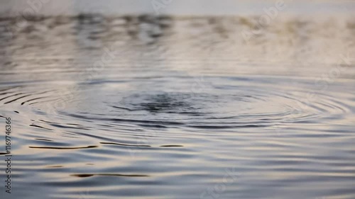 Exploring the Mesmerizing Ripples Created by a Single Drop in Tranquil Waters Under Soft Sunlight