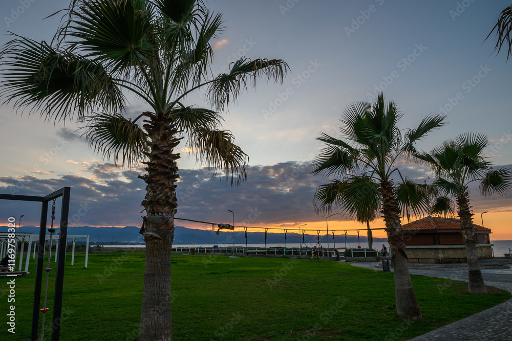 Sunset view over grassy park with palm trees and distant mountains by the water Sunset view over grassy park with palm trees and distant mountains by the water