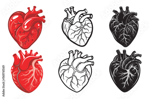 Human Heart Intricate Bundle Design