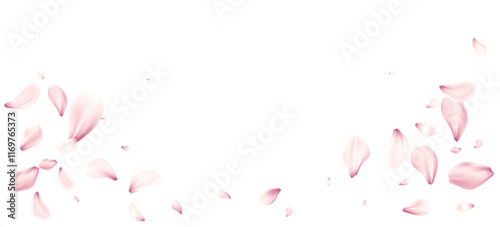 Delicate Pink Cherry Blossom Flowers Petals Floating Gracefully on the White Background. Soft pink petals scattered elegantly on a white background. Vector illustration