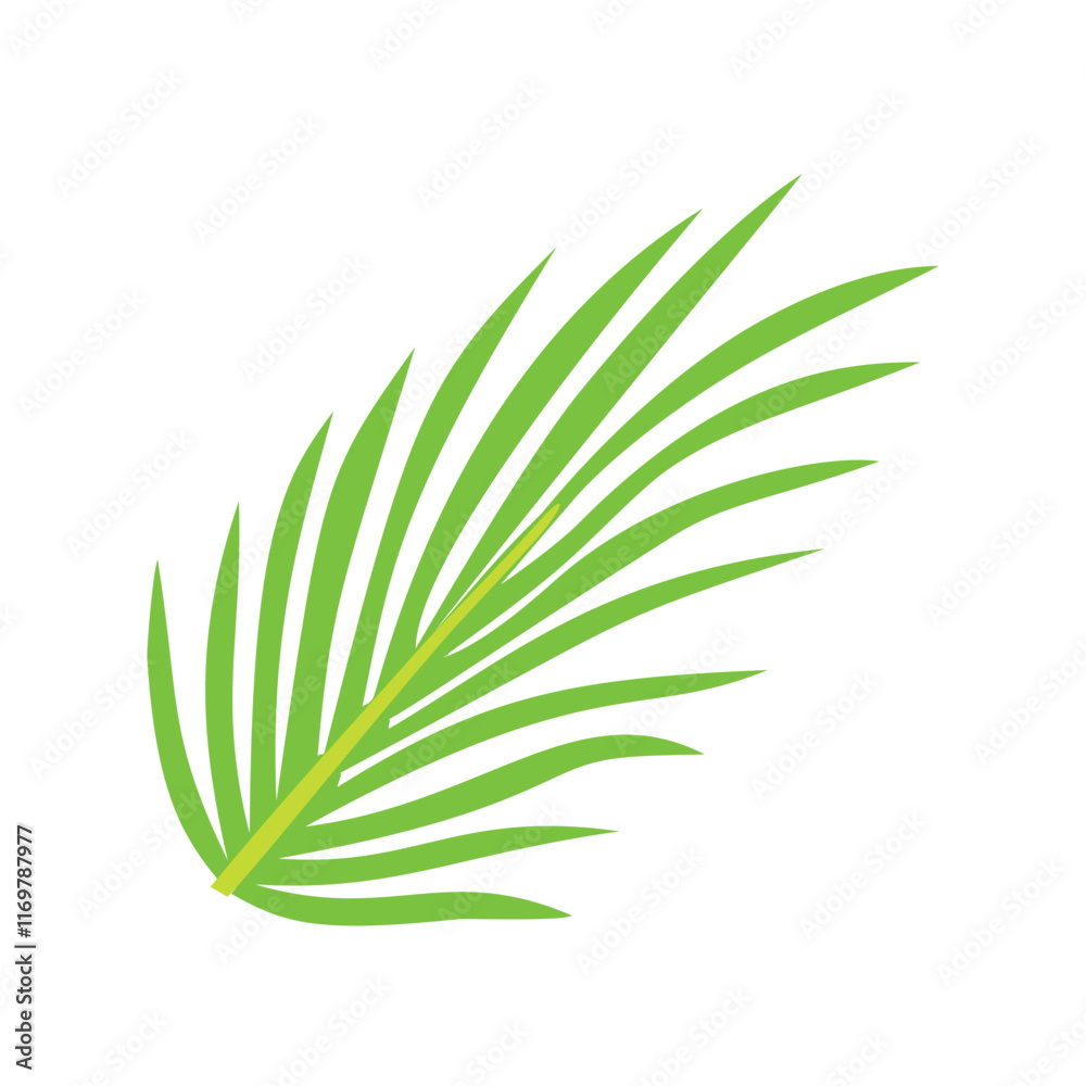 Obraz premium Vector illustration of Tropical green palm tree leaf or coconut leaf isolated