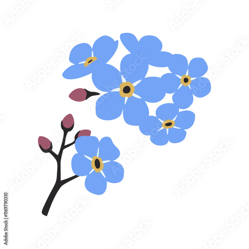 Forget me nots blue flowers, Myosotis, Scorpion grasses