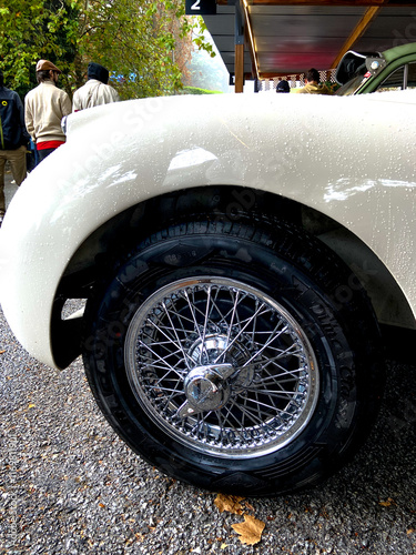 MG MGA Roadster (Caramulp Festival) photo