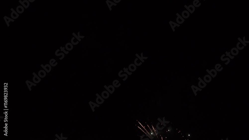 Wallpaper Mural Real Shining Fireworks Display New year's Celebration in Night Sky.	Slow motion. Torontodigital.ca