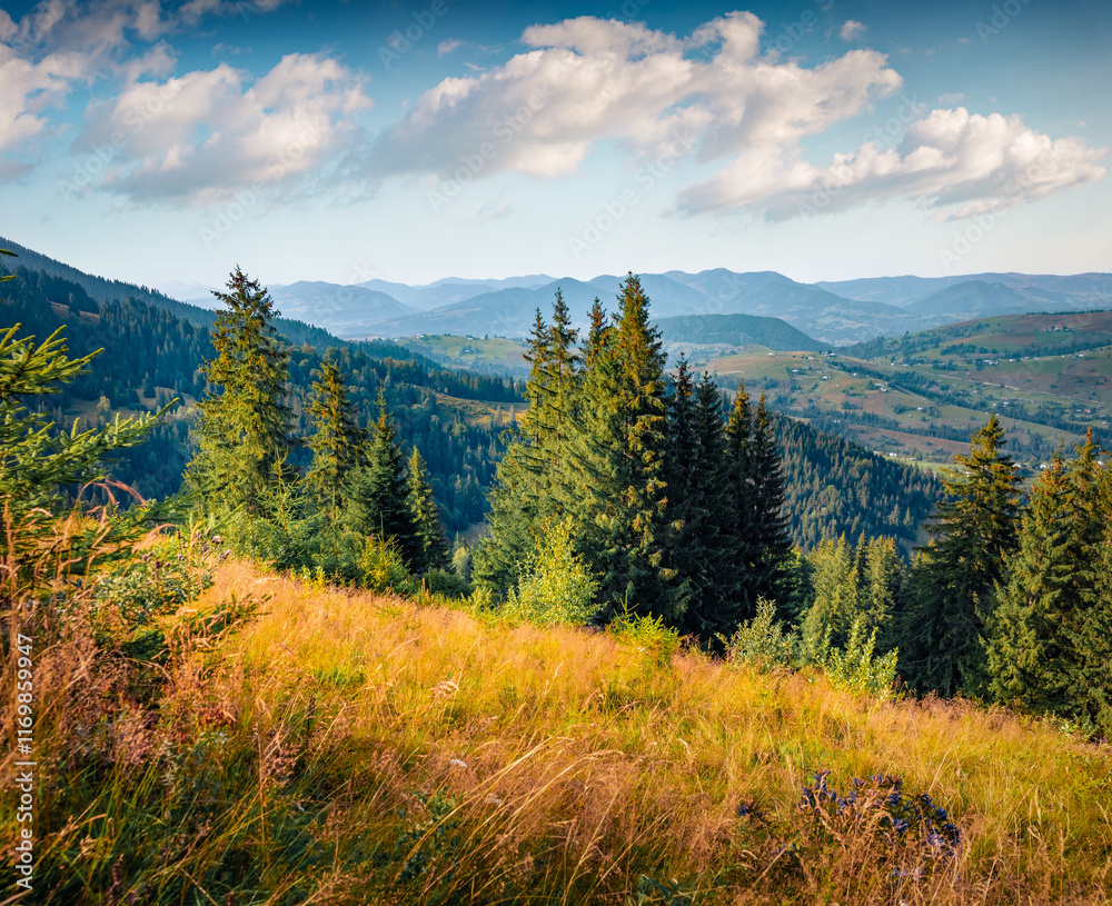 Obraz premium Amazing view of Zamagora village, countriside is scattered on the mountain slopes. Nice summer view of Carpathian mountains, Ukraine, Europe. Beauty of countryside concept background.