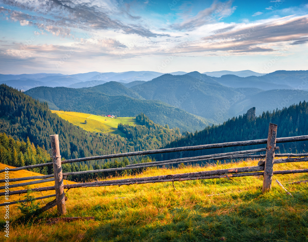 Fototapeta premium Astonishing morning view of Zamagora mountain village. Impressive summer scene of Carpathian pasture, Ukraine, Europe. Beauty of countryside concept background.