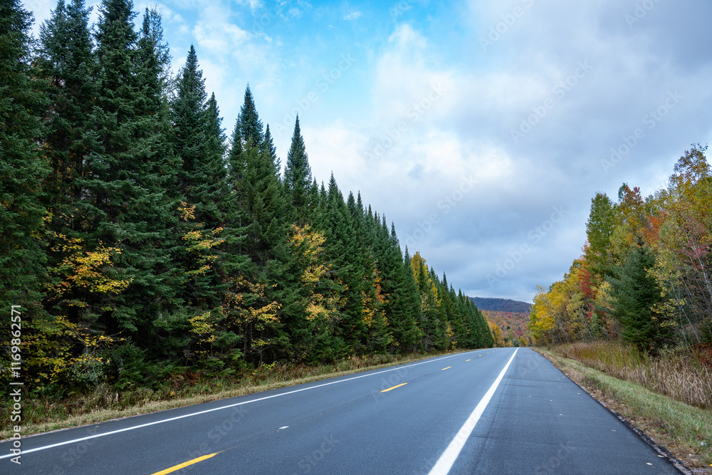 Naklejka premium Adirondacks Highway during autumn
