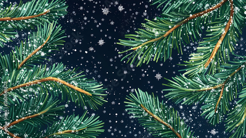 Evergreen fir branches with needles arranged oppositely on the stem, snowflakes, evergreen foliage. Evergreen. Illustration photo