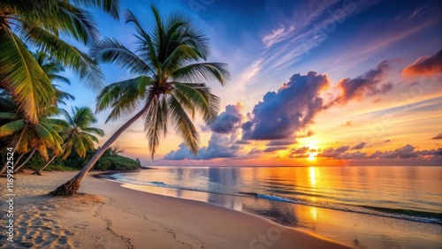 A serene beach at sunset with palm trees and a calm sea , landscape, tranquil ,  landscape, tranquil , ocean, serenity photo