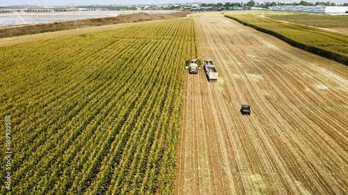 Drone shot of a corn field for silage at harvest time.
A farmer drives a Polaris Ranger next to the combine, checking on the work.
Agriculture on a kibbutz in Israel.
Kibbutz in the Judean Lowlands