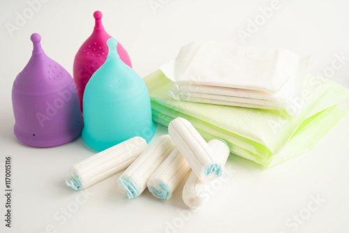 Sanitary hygiene set for women menstrual period cycle protection.