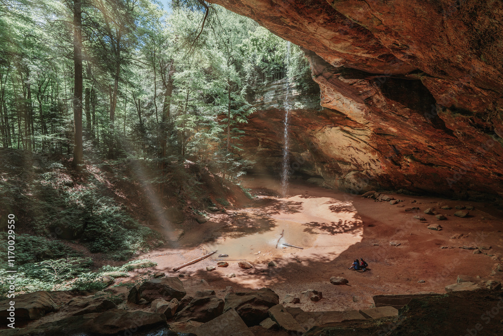 Obraz premium waterfall in the forest