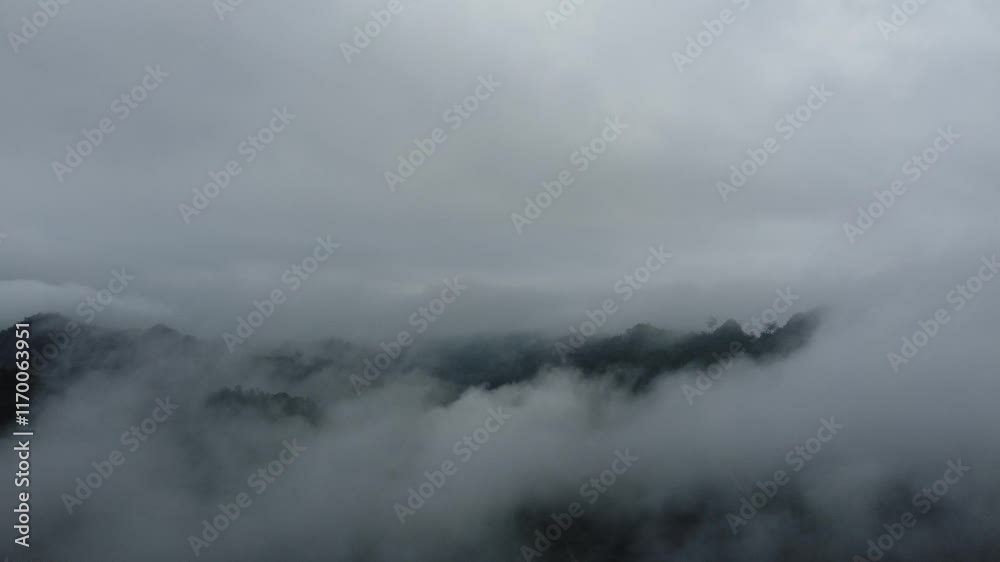Majestic drone view of a misty tropical jungle, where dense emerald foliage meets the soft embrace of rolling fog. Majestic drone view of a misty tropical jungle, where dense emerald foliage meets the soft embrace of rolling fog.