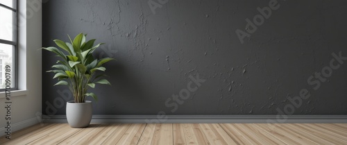 Modern room with a dark wall and two green plants, creating a peaceful interior, great for architectural or design projects with space for text.