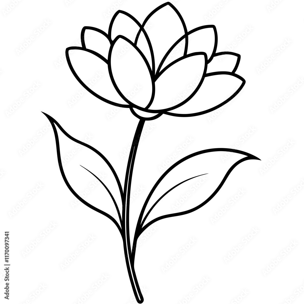 illustration of a flower illustration of a flower