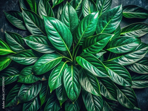 Wallpaper Mural Deep green glossy foliage dominates the frame, showcasing nature's beauty indoors. Torontodigital.ca