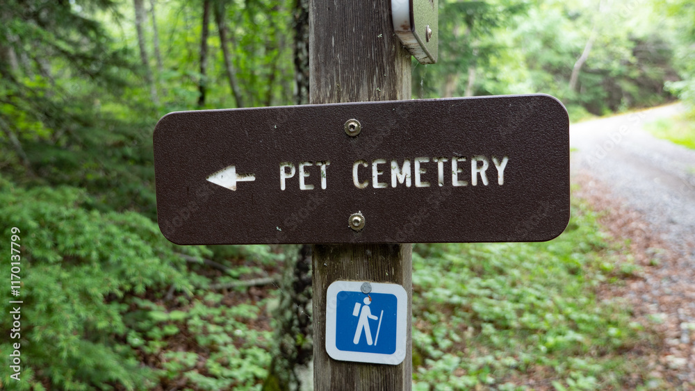 Direction sign to pet cemetery and for touristic trail at the forest area with nobody outdoor Direction sign to pet cemetery and for touristic trail at the forest area with nobody outdoor