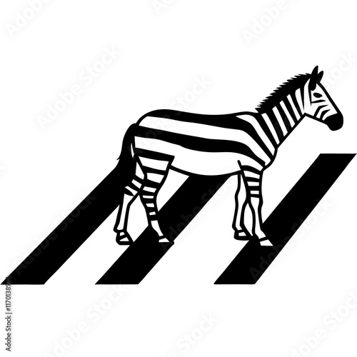  zebra crossing photo