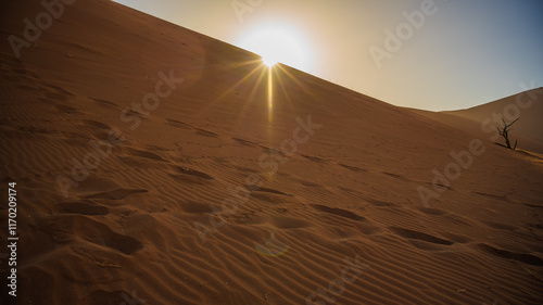Fototapeta Naklejka Na Ścianę i Meble -  sand dunes in the desert