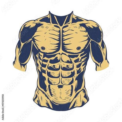 Abdominal muscles illustration in vintage style