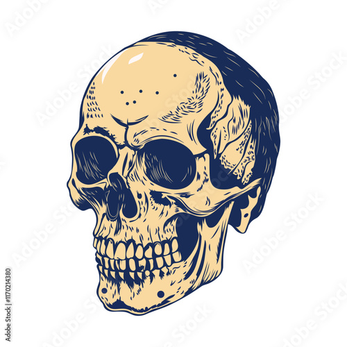 Human skull illustration in vintage style