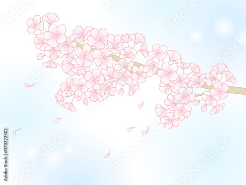 simply background of cherry blossoms