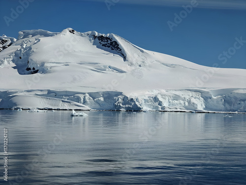 Wallpaper Mural mount with Penguin Images Torontodigital.ca
