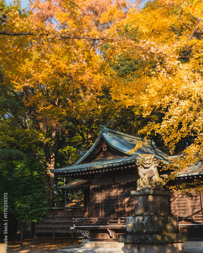 Japanese Buddhist temple during the autumn season, surounded by autumn colourful trees Japanese Buddhist temple during the autumn season, surounded by autumn colourful trees