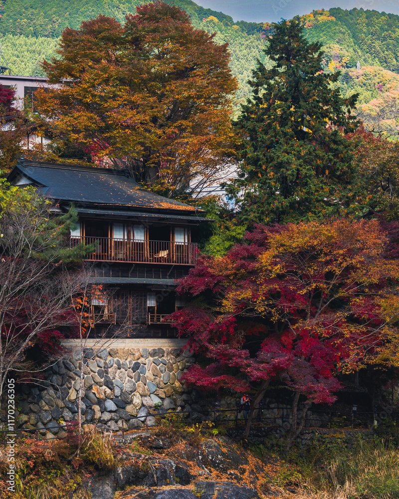 Japanese house surounded by the colourful leaves of the trees during the peak of the autum season in Japan Japanese house surounded by the colourful leaves of the trees during the peak of the autum season in Japan