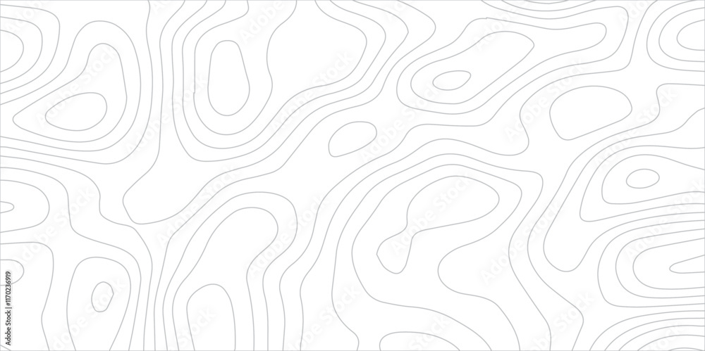 Abstract topography background. Topographic contour map subtle. Wavy paper curved reliefs White background. Geographic mountain relief curve lines background. Vector illustration.