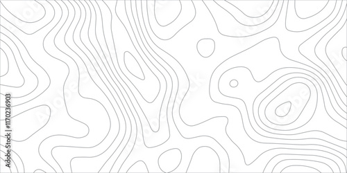 Abstract topography background. Topographic contour map subtle. Wavy paper curved reliefs White background. Geographic mountain relief curve lines background. Vector illustration.