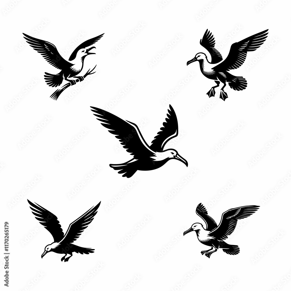 Obraz premium Albatross vector icon white background.